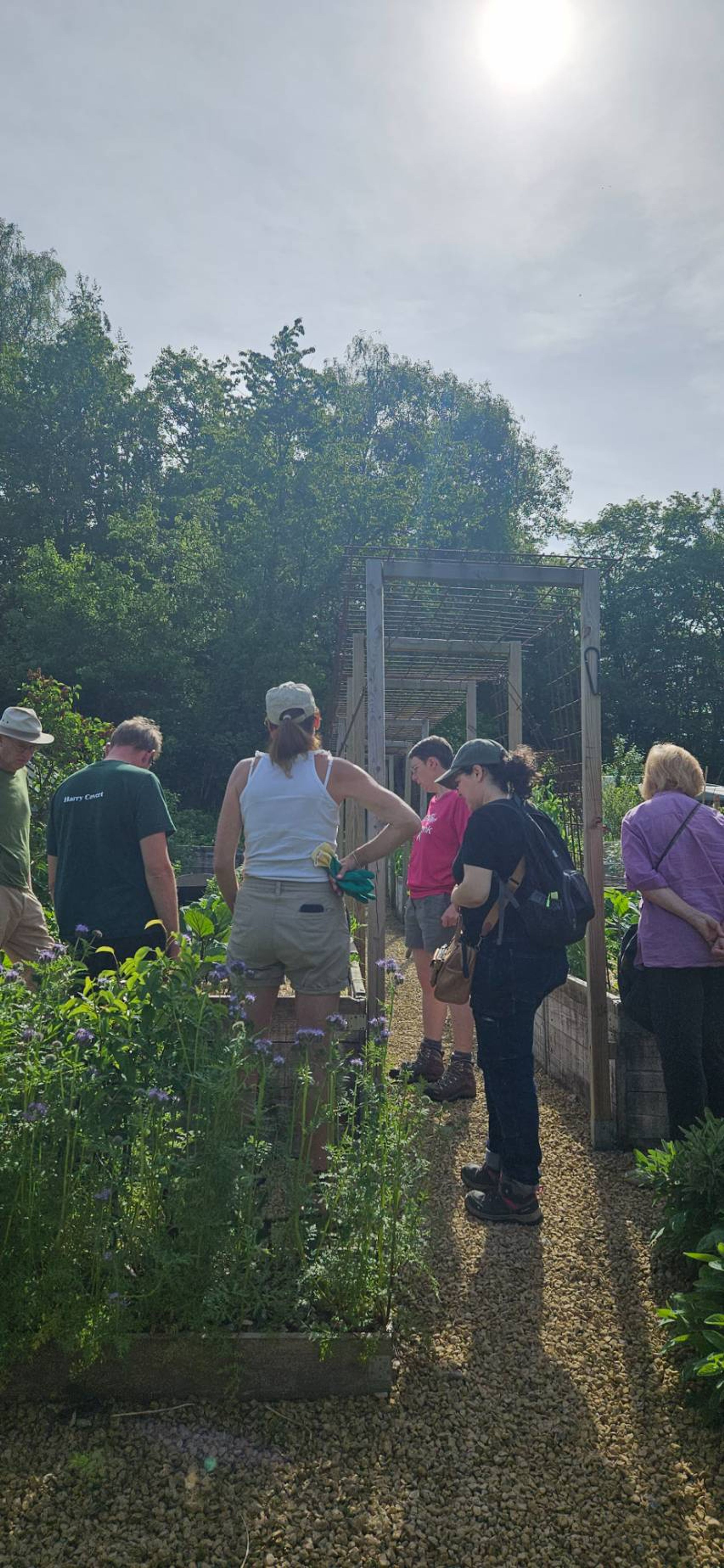 Atelier Adalia dans l'allée du potager de Marchin